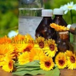 calendula oil suppliers
