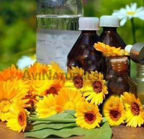 calendula oil suppliers