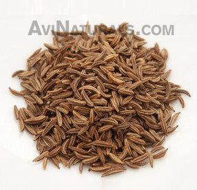 caraway oil suppliers