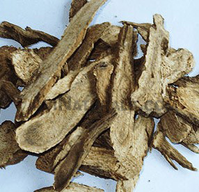 costus root oil suppliers