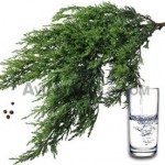 cypress water suppliers