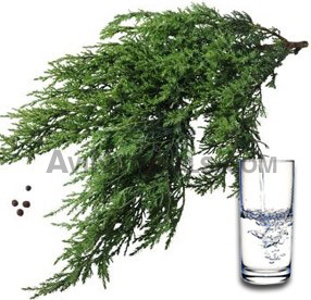cypress water suppliers