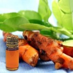 ginger hydrosol suppliers