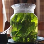 lemon balm oil suppliers