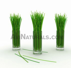 lemongrass suppliers