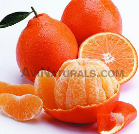 orange blossom suppliers