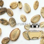 parsley seed oil suppliers