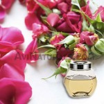 rose hydrosol suppliers