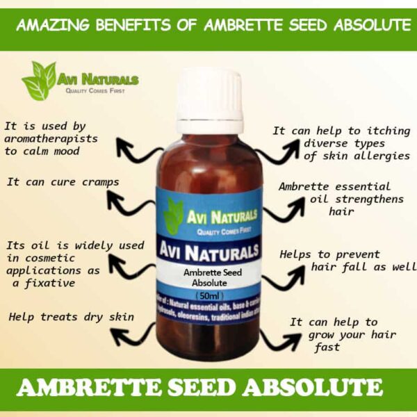 Ambrette absolute