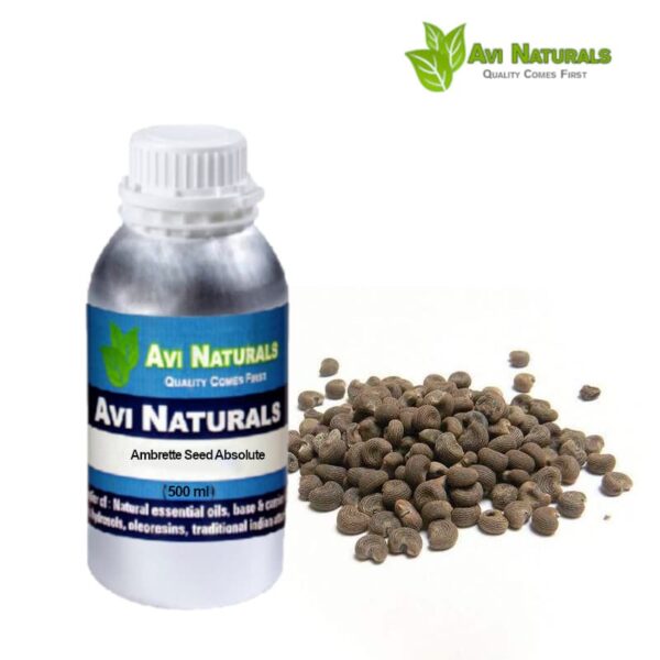 Ambrette seed absolute 500mla