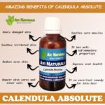 Calendula Absolute
