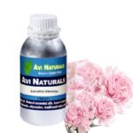 Carnation Absolute 500ML