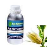 Champaca SC Absolute 500ml