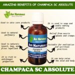 Champaca Sc Absolute