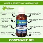 Costmary Oil 50ml