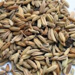 Fennel Sweet Essential Oil