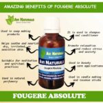 Fougere Absolute