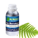 Fougere Absolute 500ml