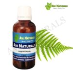 Fougere Absolute 50ml