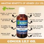 Ginger Lily Oil 50ml