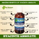 Hyacinth Absolute