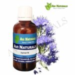 Hyssop Oil 50ml