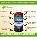 Jasmine Sambac Absolute