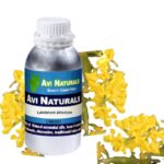 Labdanum Absolute 500ml