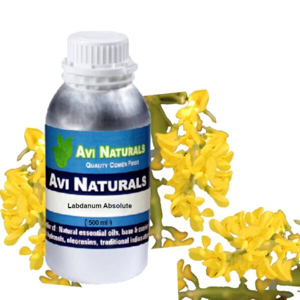 Labdanum absolute 500ml