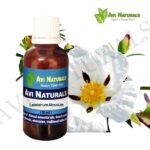 Labdanum Absolute 50ml