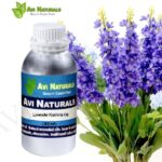 Lavender Kashmir Oil 500ml