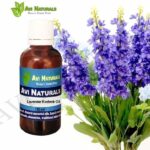 Lavender Kashmir Oil 50ml