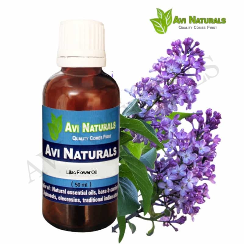 Lilac Essential Oil, Packaging Size: 250 ml at best price in Delhi