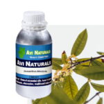 Osmanthus Absolute 500ml
