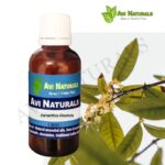 Osmanthus Absolute 50ml