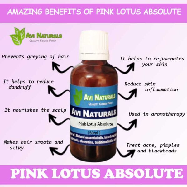 Pink lotus absolute