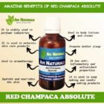 Red Champaca Absolute