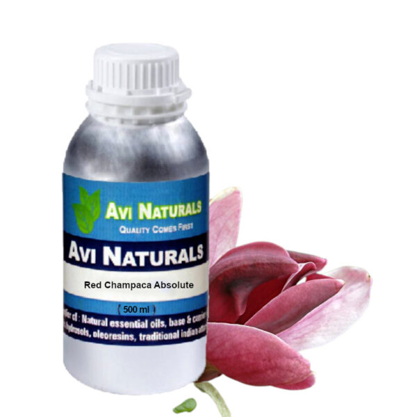 Red champaca absolute 500ml