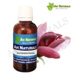 Red Champaca Absolute 50ml