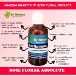 Rose Floral Absolute