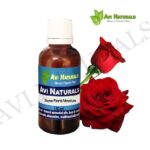 Rose Floral Absolute 50ml