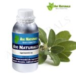 Sage(Spanish) Oil 500ml