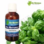 Sweet Basil Oil 50ml
