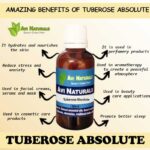Tuberose Absolute