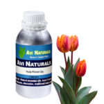 Tulip Flower Oil 500ml