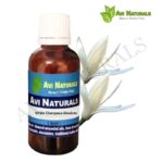 White Champaca Absolute 50ml