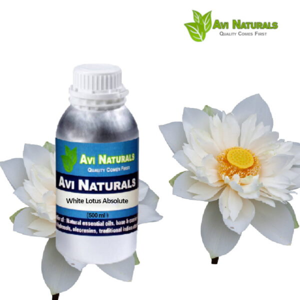 White lotus absolute 500ml