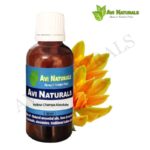 Yellow Champa Absolute 50ml