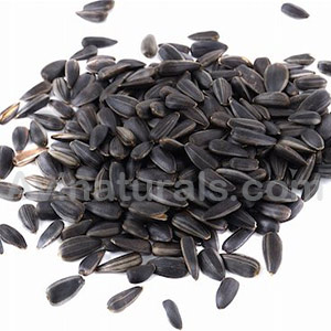black seed Oil Suppliers