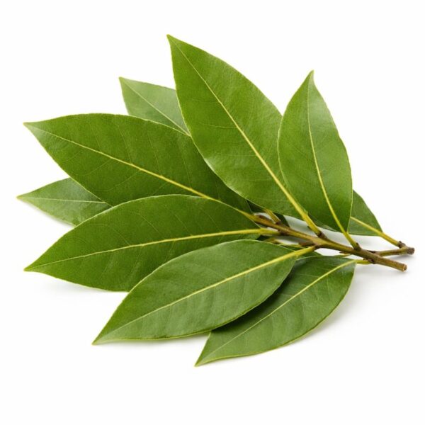 Buy bay leaf essential oil